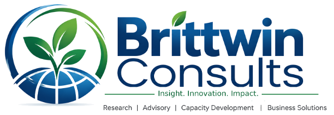Brittwin Consults — Insight. Innovation. Impact.